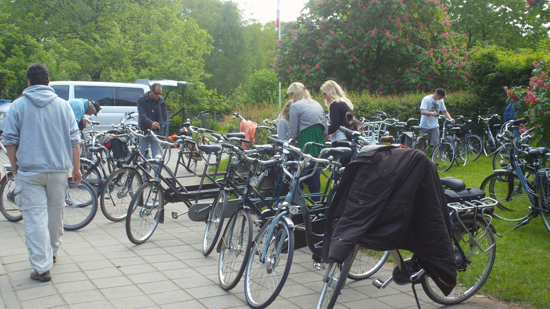 2012 HWK 004.jpg